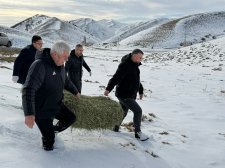 Yeşilyurt Belediyesi’nden Yaban Hayatına Yem Desteği!
