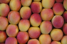 Fotoğraflarla Yeşilyurt