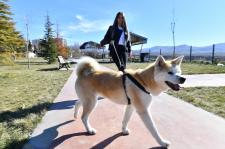 Fotoğraflarla Yeşilyurt