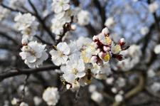 Fotoğraflarla Yeşilyurt