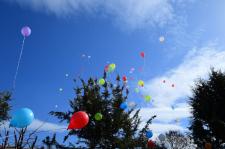 Fotoğraflarla Yeşilyurt