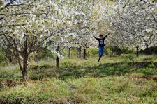 Fotoğraflarla Yeşilyurt