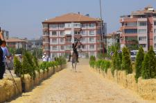 Fotoğraflarla Yeşilyurt