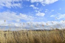 Fotoğraflarla Yeşilyurt