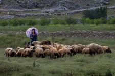 Fotoğraflarla Yeşilyurt