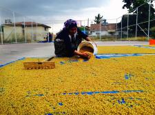 Fotoğraflarla Yeşilyurt