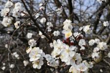 Fotoğraflarla Yeşilyurt