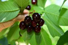 Fotoğraflarla Yeşilyurt