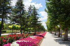 Fotoğraflarla Yeşilyurt