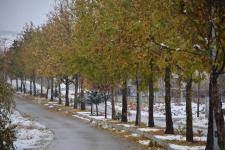 Fotoğraflarla Yeşilyurt