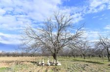 Fotoğraflarla Yeşilyurt