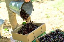 Fotoğraflarla Yeşilyurt