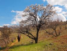 Fotoğraflarla Yeşilyurt