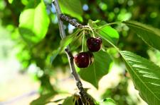 Fotoğraflarla Yeşilyurt