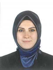 Gönül Özfındık  <br/>        AK Parti
