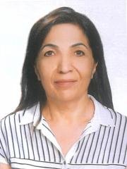 Günnur Tabel  <br/>        CHP